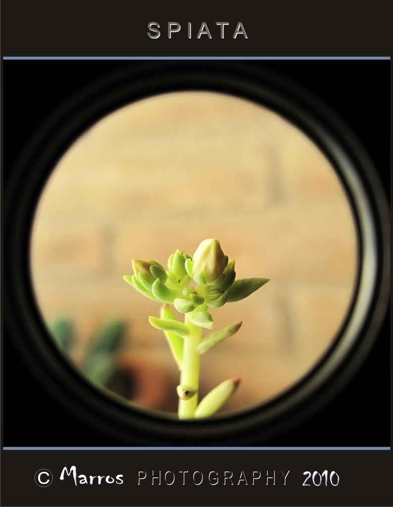 ....Spiata...!