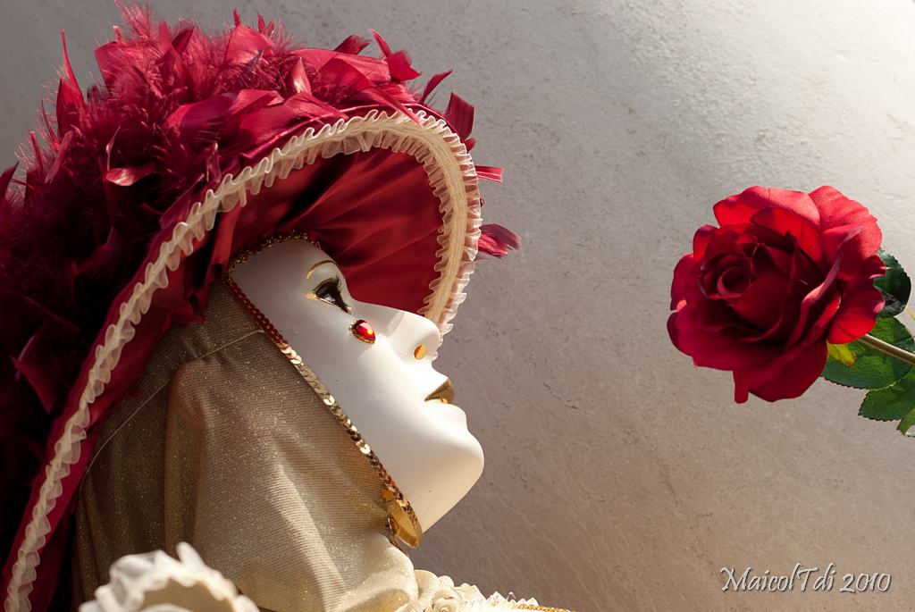 L'incanto di una rosa