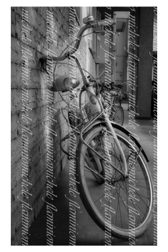 Mostra fotografica "FOTO CASUALI"