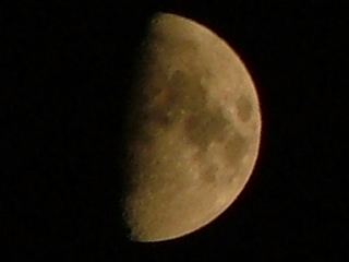 luna crop 2