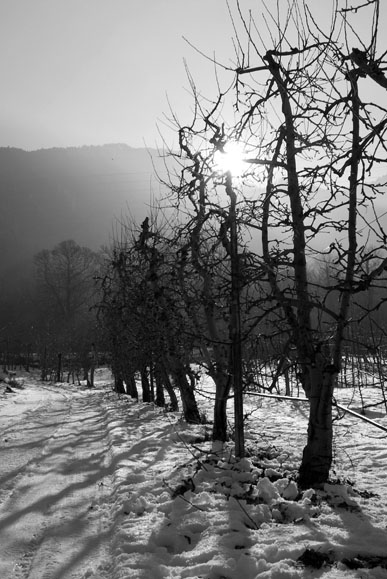 Meleto in Valtellina