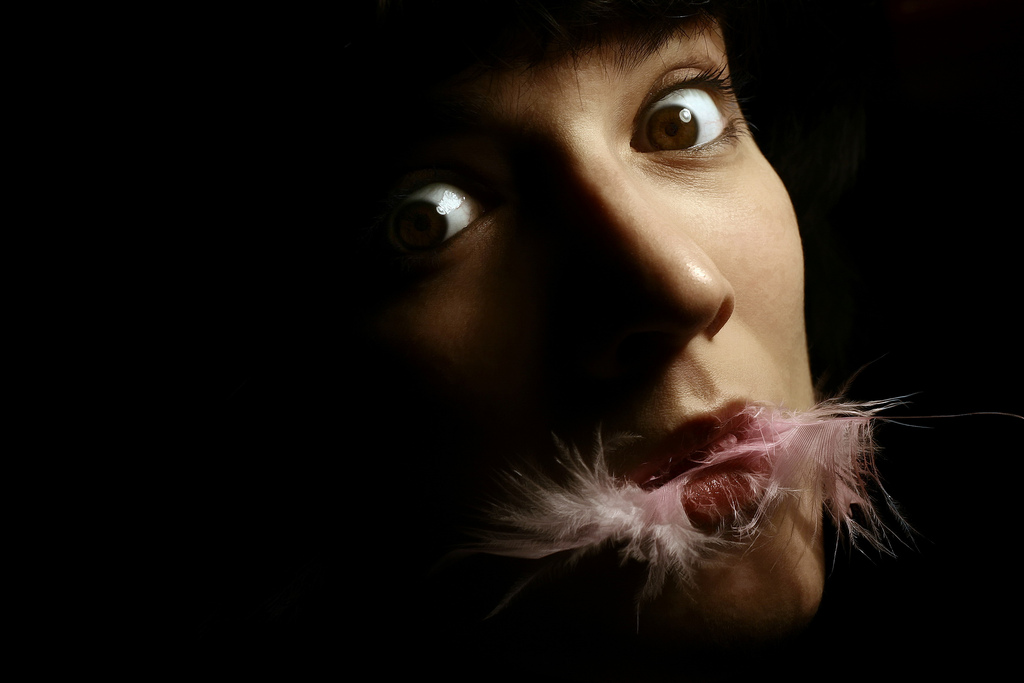 L'intelligenza senza ambizione � come un uccello senza ali.