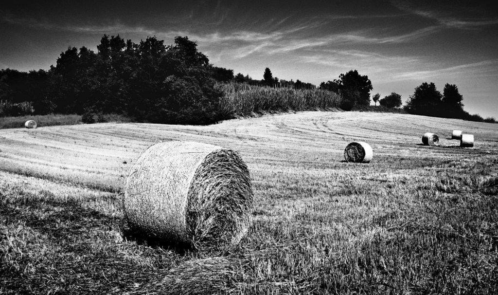 Rotoballe di paglia 1