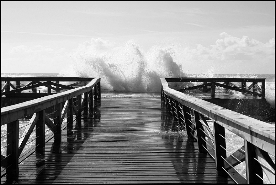 d�barcad�re de hostie