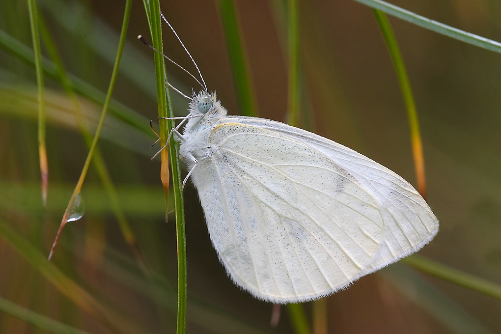 ...L'Inizio E La Fine...!!!