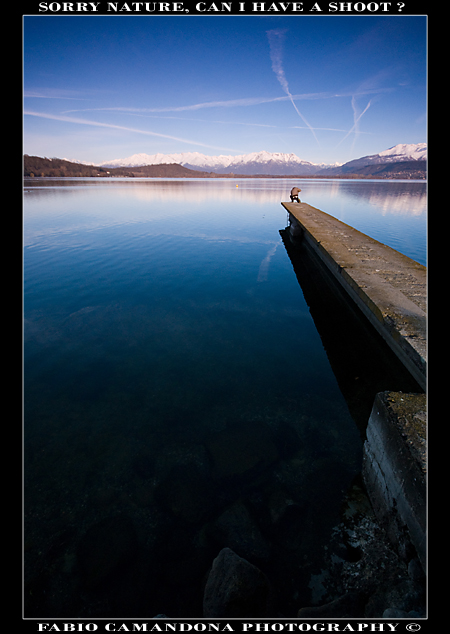 sorry nature, can i have a shoot ?