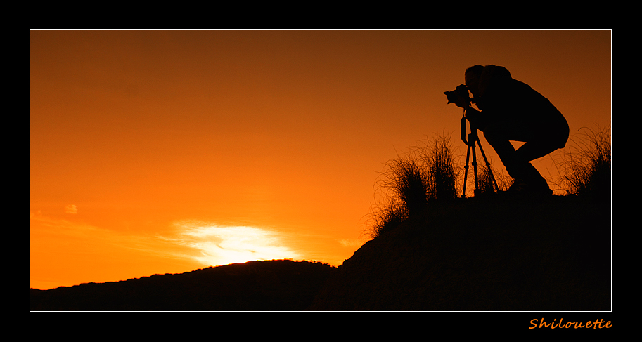Shilouette