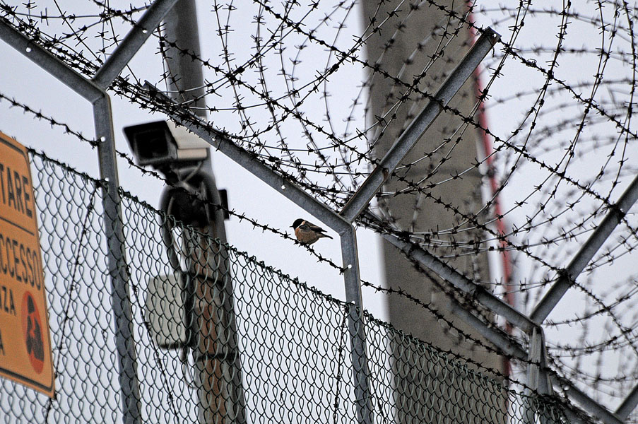 sorvegliato speciale