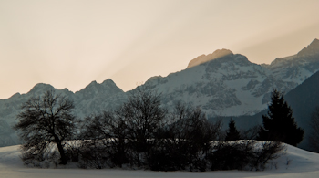 Working progress, alle prime armi.