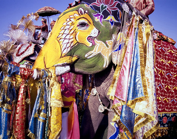 Elephant Festival