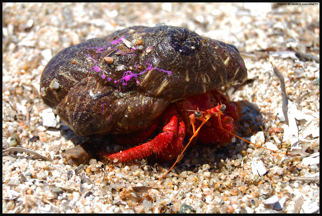 ...home sweet home...