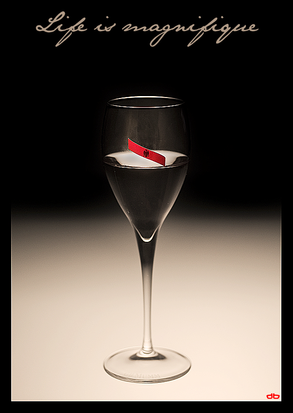 Life is magnifique