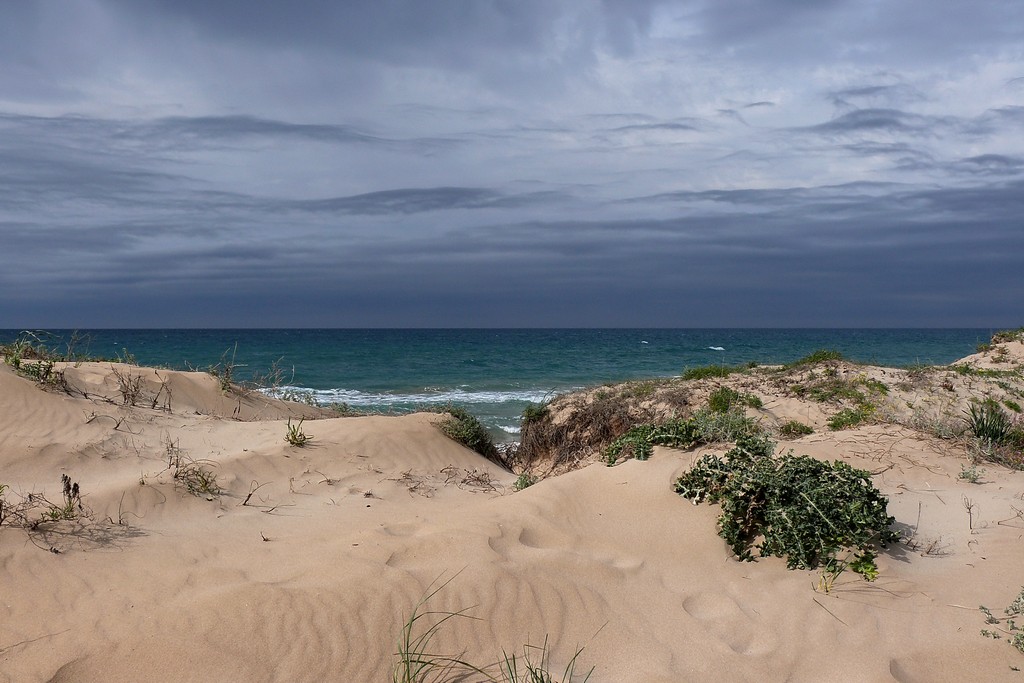 In attesa dell'estate.....