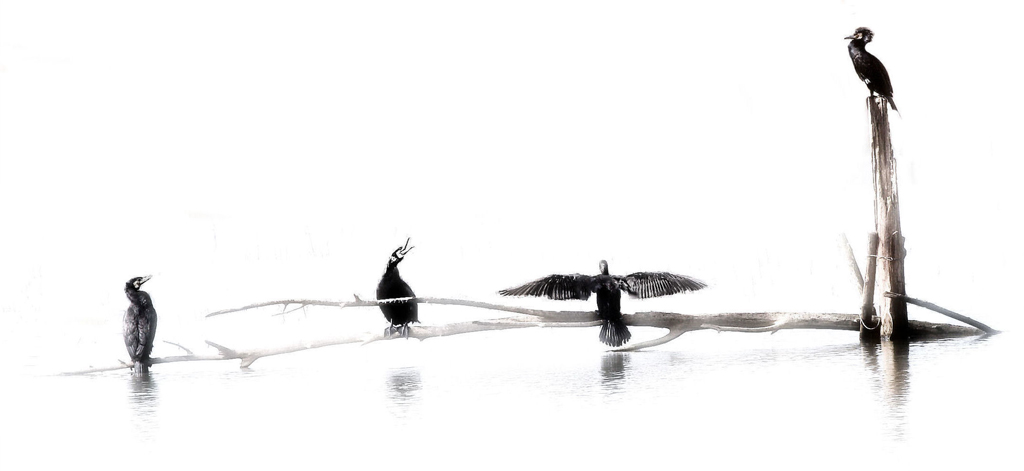 Riunione di famiglia...