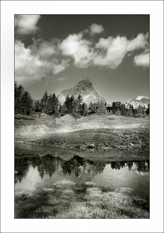 Riflessi monocromatici 2