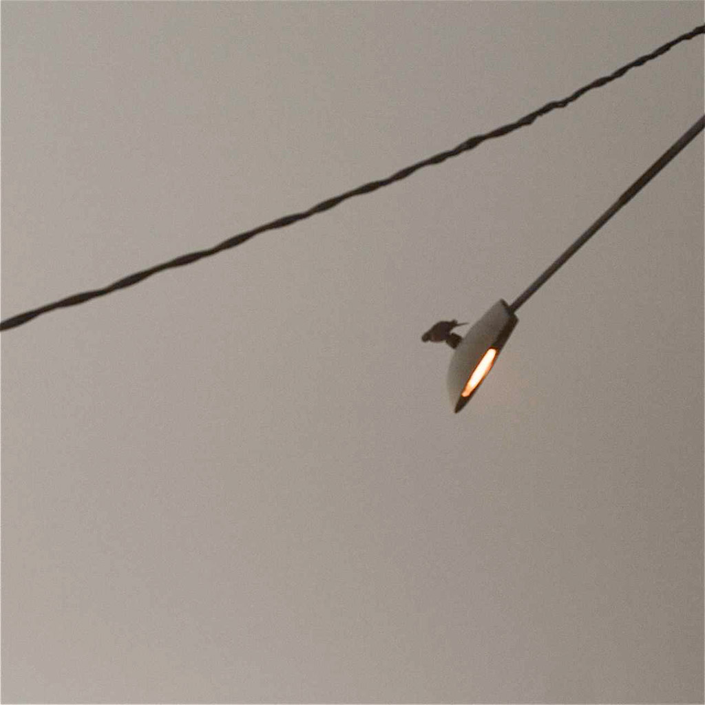 mi butto o non mi butto?