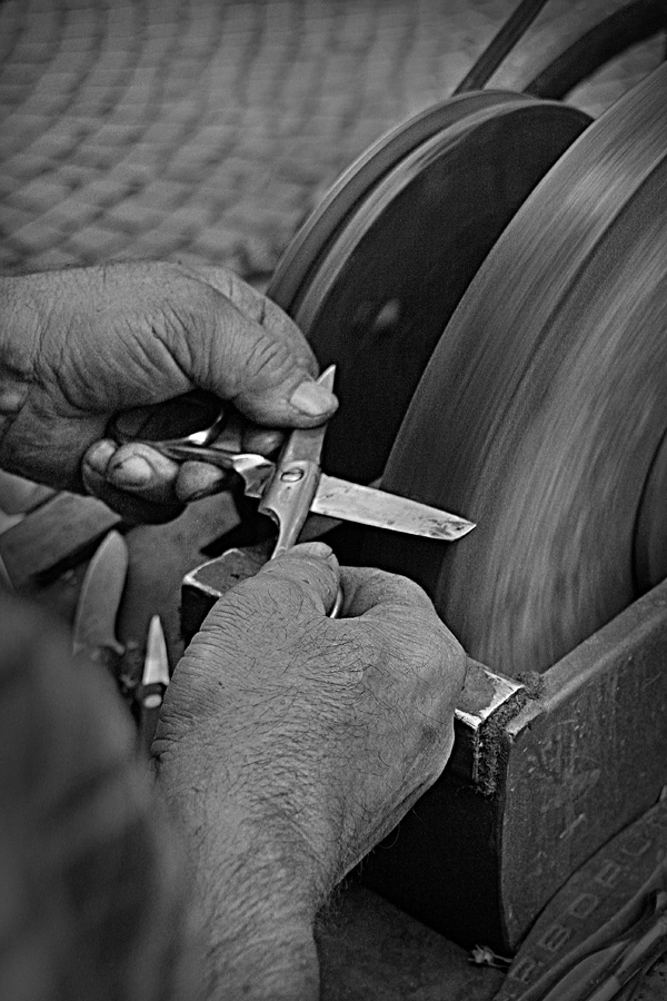 Dal mio album "Mani"