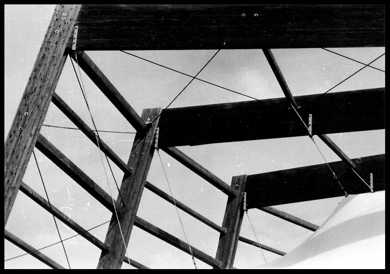 cinema all'aperto di Cecina (LI)