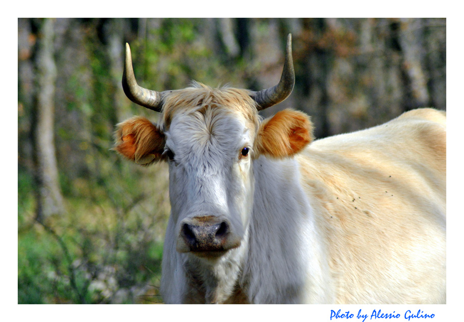 Sguardo di intesa...