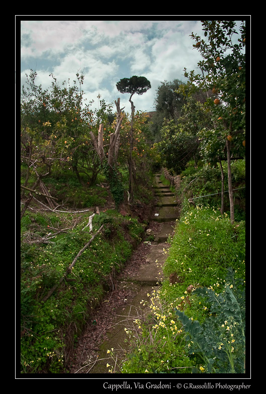 Cappella - Via Gradoni