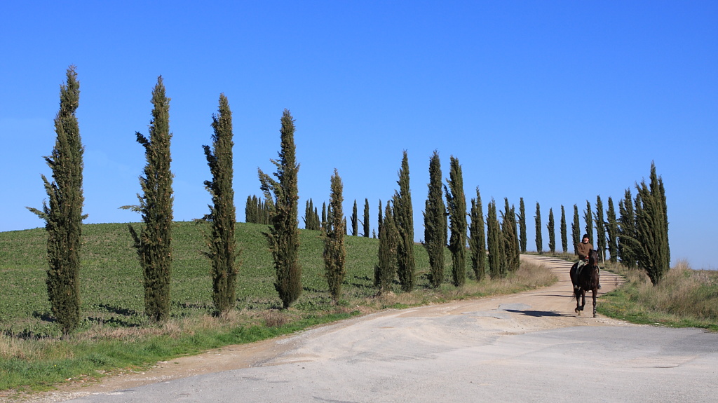 A cavallo nella campagna Toscana