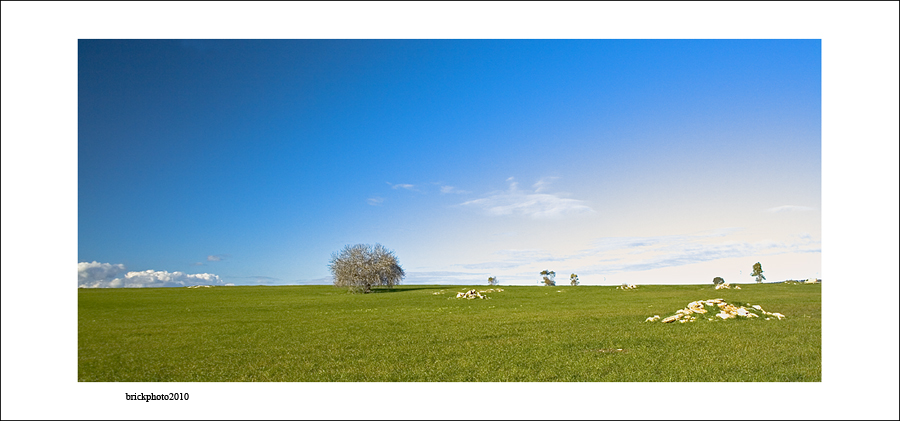 inverno in salento...