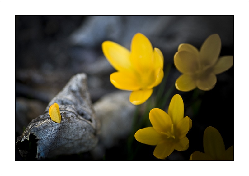 Waiting for a new baby.......