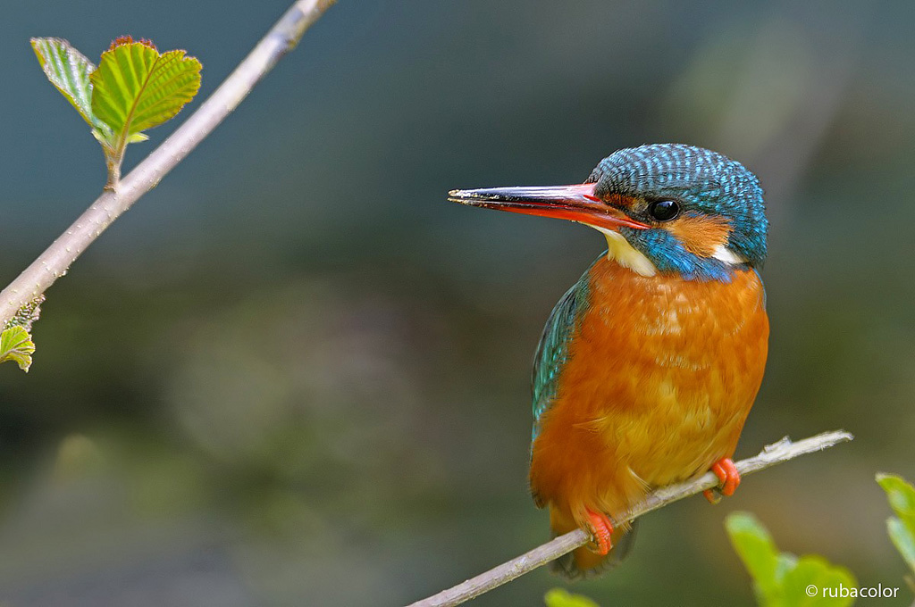 Uno sguardo da non dimenticare