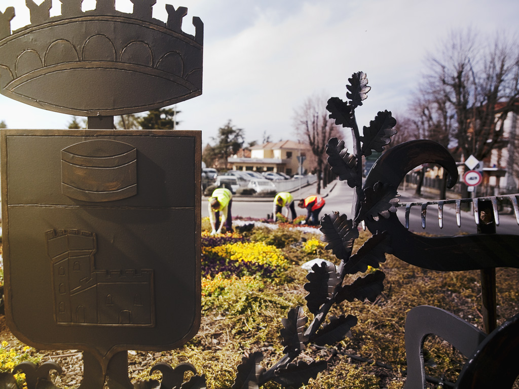 aiuola..lavori in corso