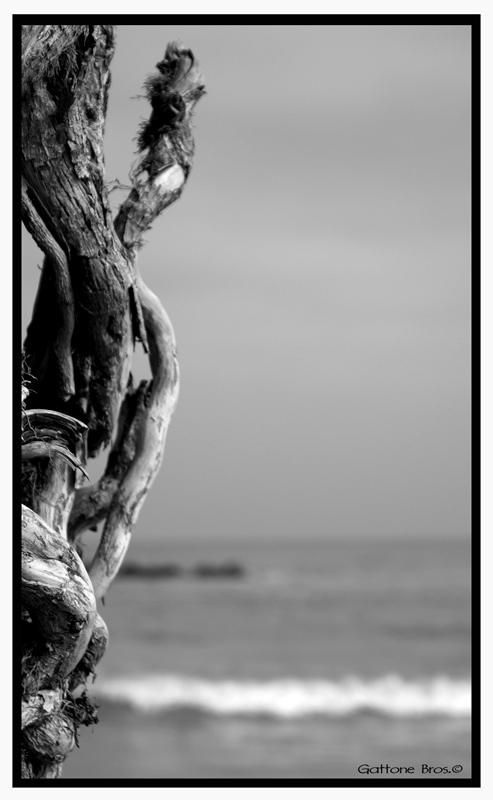 Mare d'autunno B&W