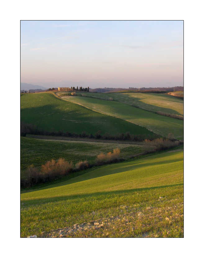 684 - Campagna nel Pisano