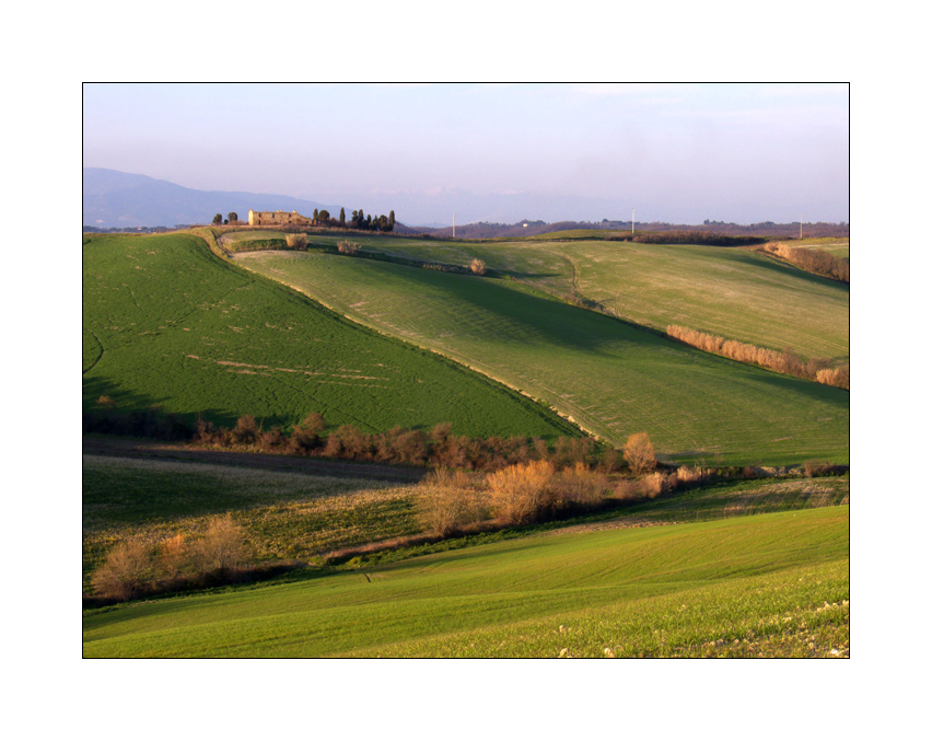 676 - Campagna nel Pisano