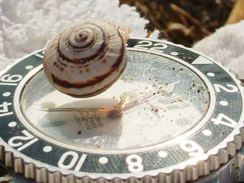 a che ora arrivero' ?