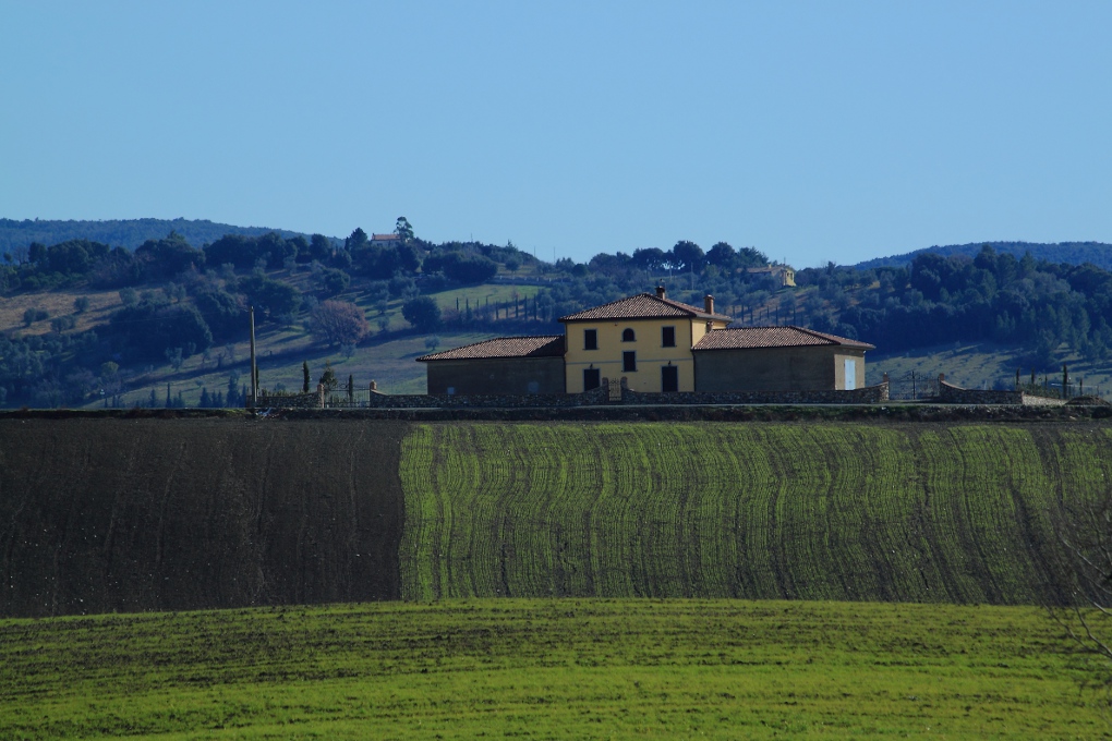 Campagna toscana ( PI )