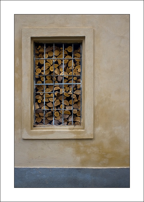 Vista sul bosco.....