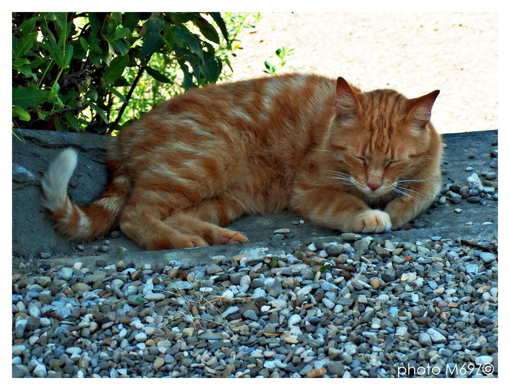 non dormo... riposo gli occhi!!