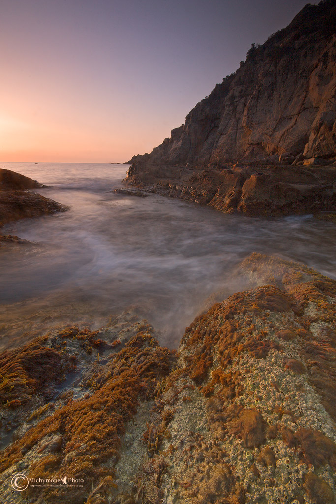 the light of the sunset