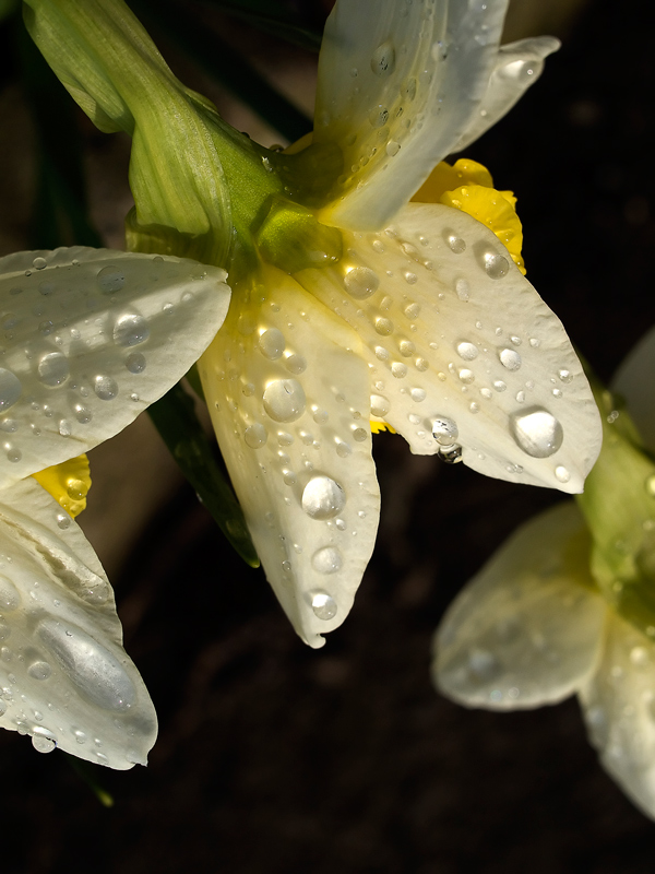 dopo la pioggia...al tramonto