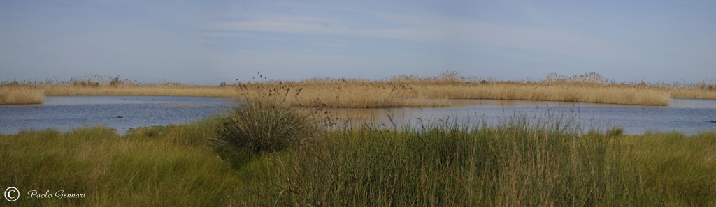 palude di torre flavia