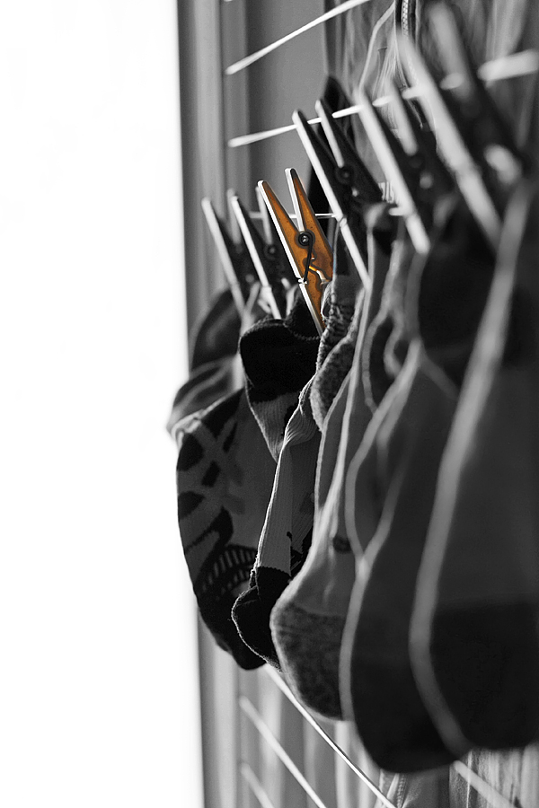 Il bianco,il giallo e il nero.