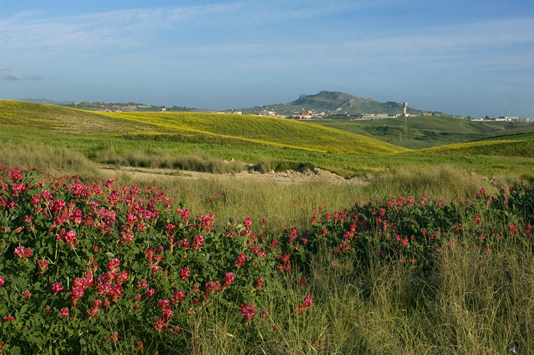 La Sicilia che mi piace...