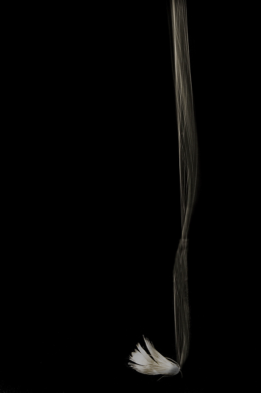 Contest n.44 - Dall'alto verso il basso (9� posto)