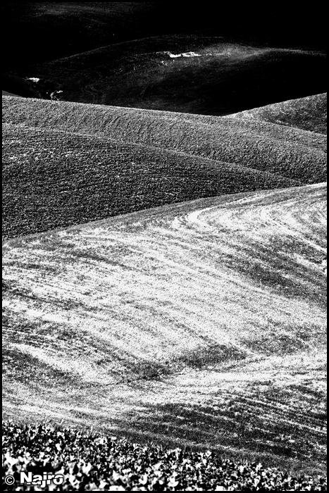 Val d'Orcia 2010 BN #06