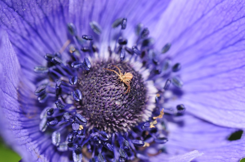 passeggiata naturalistica