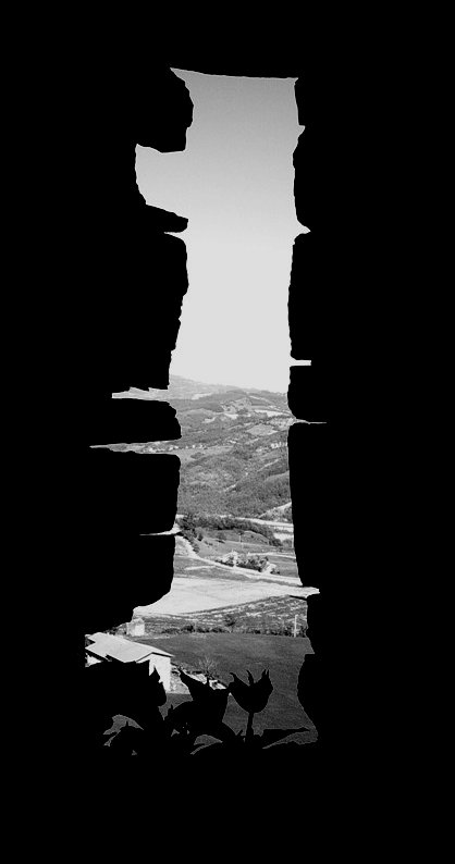 il fiore sulla roccia 2