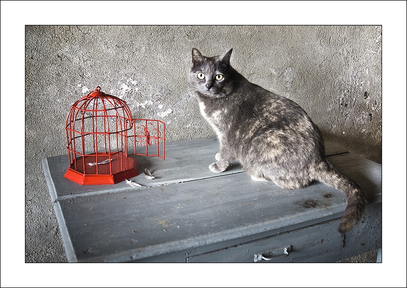 Scusa, hai visto Titti ?