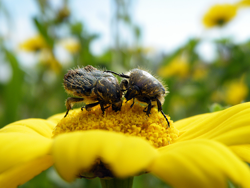 Dai su...non ti abbattere..