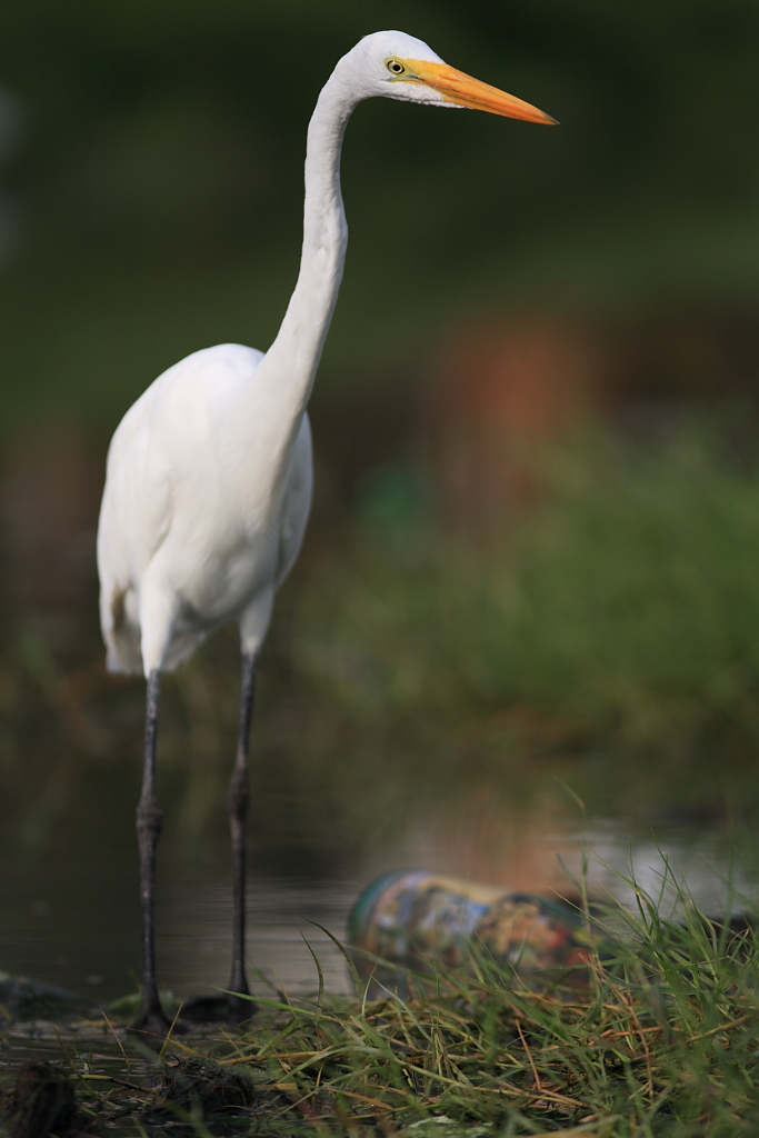 E' tua questa cosa tra i piedi?