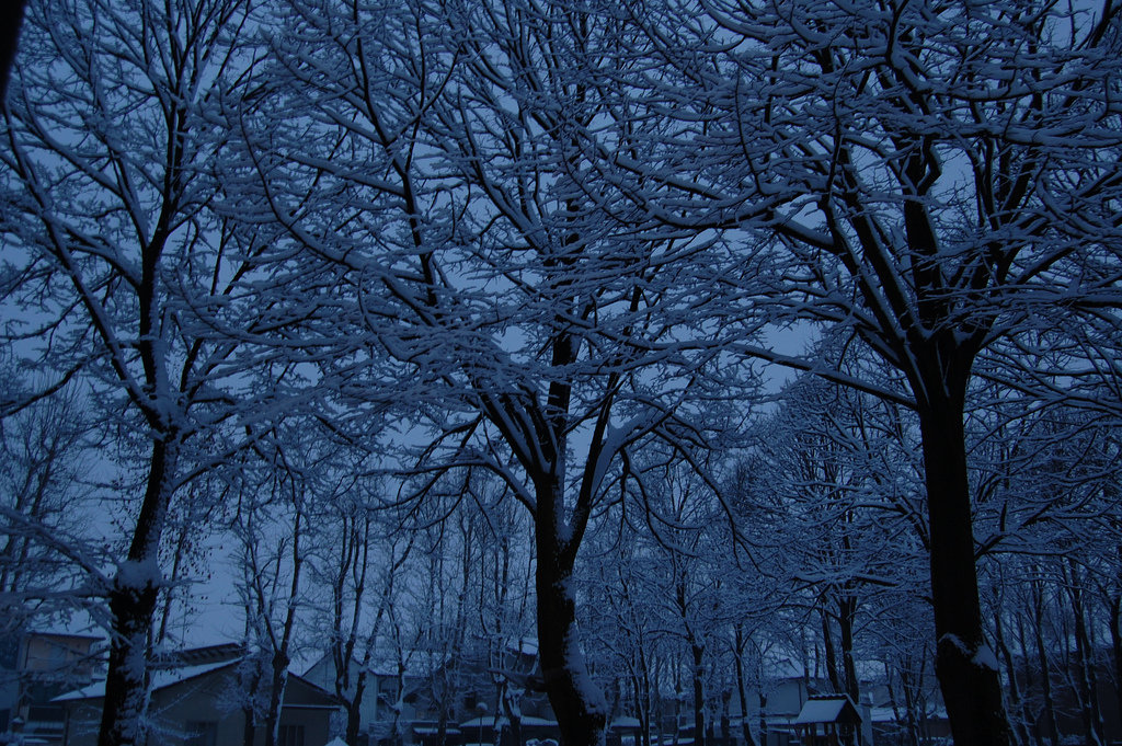 Un attimo prima che arrivi il buio