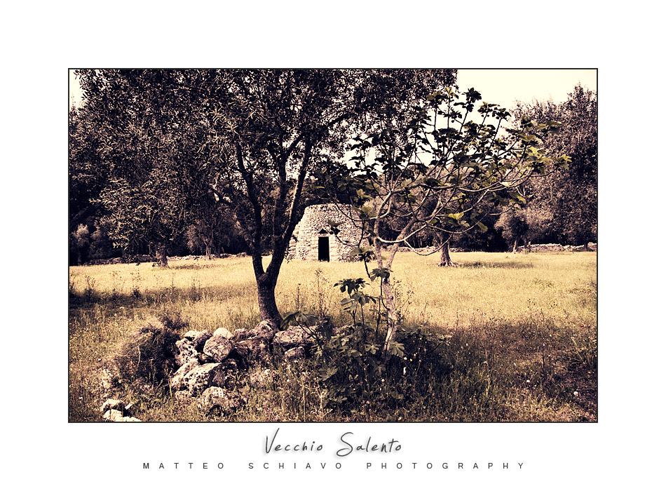 Vecchio Salento